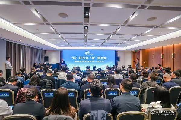 “標(biāo)”桿引領(lǐng) “準(zhǔn)”則護(hù)航 加快建設(shè)更多世界一流企業(yè)——第七屆中國(guó)企業(yè)論壇平行論壇